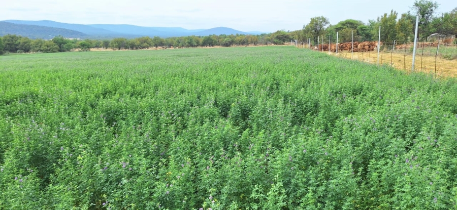 2 Bedroom Property for Sale in Swartruggens North West